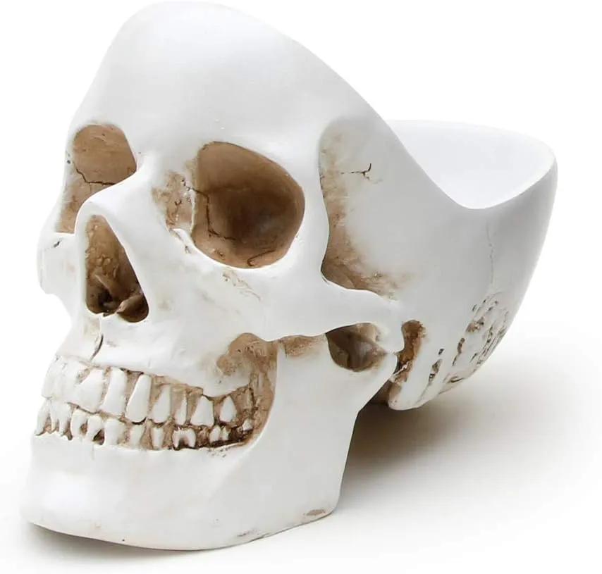& Trinket Dish Desk Tidy Organiser Gothic Home Decor & Goth Decor Goth Gifts For Women pollinate gem breeze visit Bedroom Decoration White Suck UK - Skull Desk Organiser Gothic Jewellery Box Key Bowl 