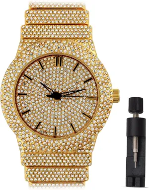 boat sensitivity awkwardly Box Included Men's 18K Gold Silver Plated Luxury Watch, 46MM Round Iced Bezel with Roman Numerals, Lab Diamonds, Quartz Movement, Gift 