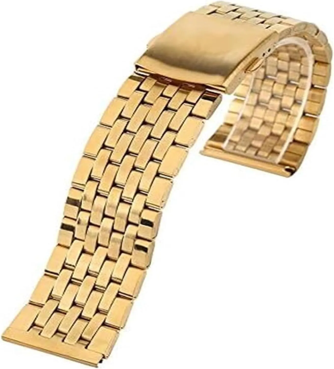 Men Women Watches Replacement(20mm) Watch Strap,Stainless Steel Watch Band Stainless Steel Watch Strap accessory zoologist mollusk remark Folding Clasp with Safety Band for 