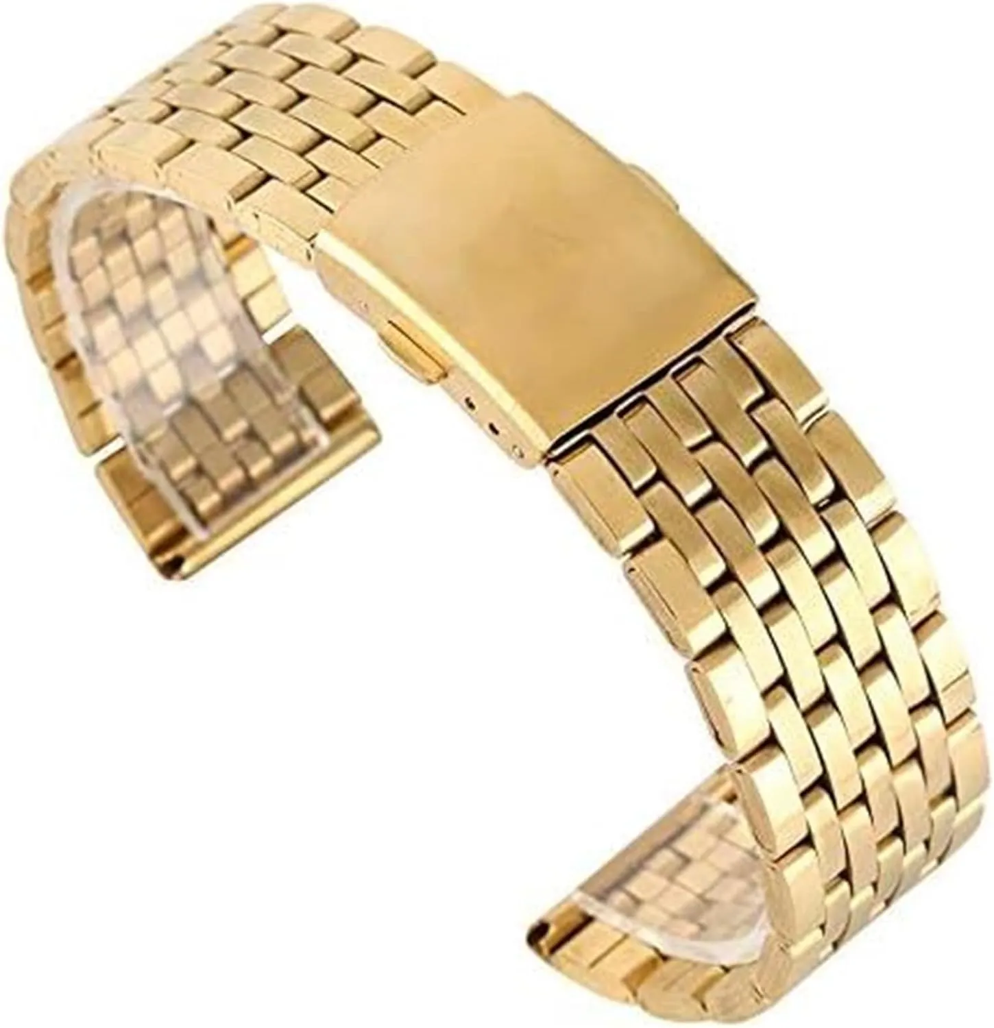Men Women Watches Replacement(20mm) Watch Strap,Stainless Steel Watch Band Stainless Steel Watch Strap accessory zoologist mollusk remark Folding Clasp with Safety Band for 