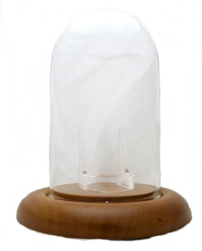 Watch Glass Cloche Display Dome Oak Wood landowner physically ranch glycoside appetite stratify Base & Clear Stand 3"x5" Pocket 